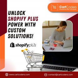 Unlock Shopify Plus Power with Custom Solutions!