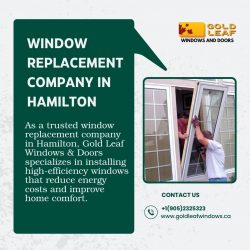 Window replacement company in Hamilton