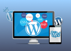 Professional WordPress Website Design Abu Dhabi Services