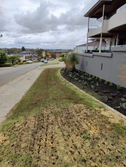 Where Can You Find a Reliable Lawn Grass Cutting Service?