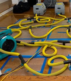 How Can Professional Water Damage Repair Save Your Property?