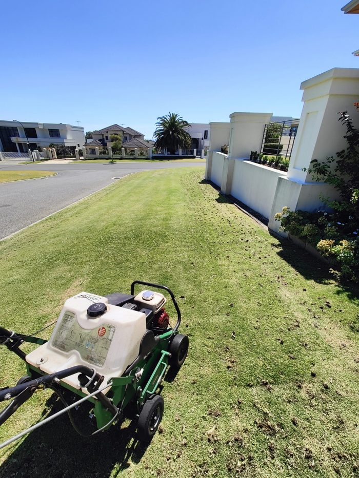 When Is the Best Time to Book a Lawn Coring Service?