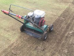 What’s the Best Approach to Cutting Buffalo Grass?