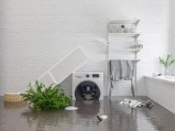 Find a Restoration Company Near Me: Expert Solutions