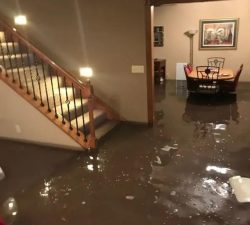 Basement Flood Cleanup Service: Your Partner in Disaster Recovery