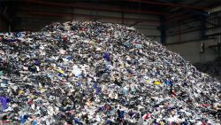 Municipal Solid Waste Pre-Processing