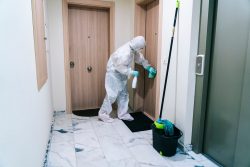 Professional After Death Remediation for Sensitive Situations