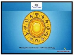 Vedic Astrologer in India