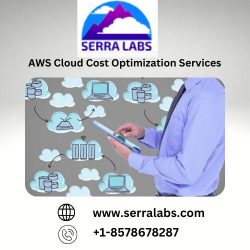 AWS Cloud Cost Optimization Services