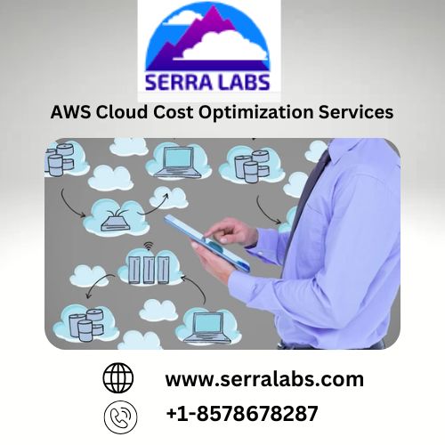 AWS Cloud Cost Optimization Services