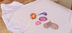 Wholesale Accessory Market – Bella Canvas T Shirts Wholesale for Style & Comfort