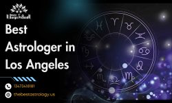 Best Astrologer in Los Angeles – Accurate Life Guidance & Remedies