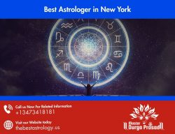 Best Astrologer in New York – Trusted Horoscope & Life Predictions