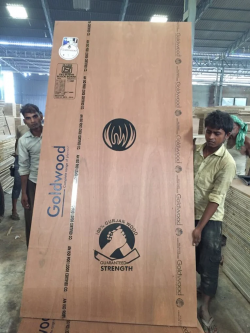 Best Plywood Factory in Yamunanagar for Premium Quality Products