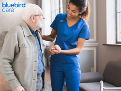 Dementia Care at Home in Enfield – Bluebird Care Enfield