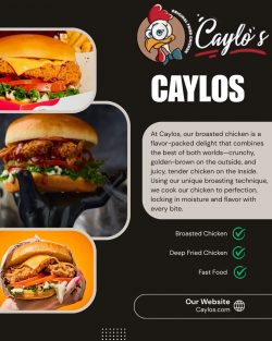 Broaster – Authentic Crispy Chicken Delight