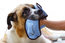 HugeHounds Offers Dog Slobber Catcher for Clean and Comfortable Pets