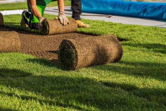 Enhance Your Outdoor Space with Synthetic Turf Grass in Woodstock, GA