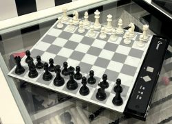 Buy Premium Chess Board Set Online in the USA