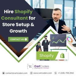 Hire Shopify Consultants by CartCoders