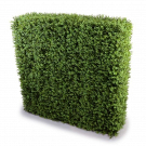 Brighten Up Your Space with an Artificial Hedge Wall