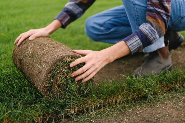 Landscaping Services Sydney for Stunning Outdoor Spaces