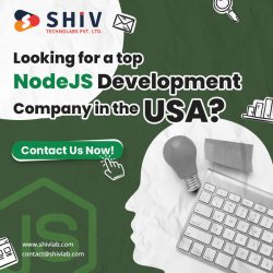 Reliable Node.js Development Services in USA by Shiv Technolabs