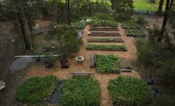 Building Strength and Style: Timber Retaining Walls & Train Track Sleepers for Sale