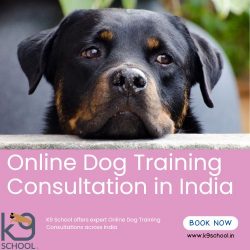 Online Dog Training Consultation in India by K9 School
