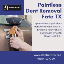 Paintless Dent Removal Fate TX
