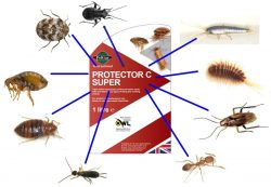 Pest Control Company Dublin Professional Trusted Service