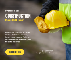 Professional Construction