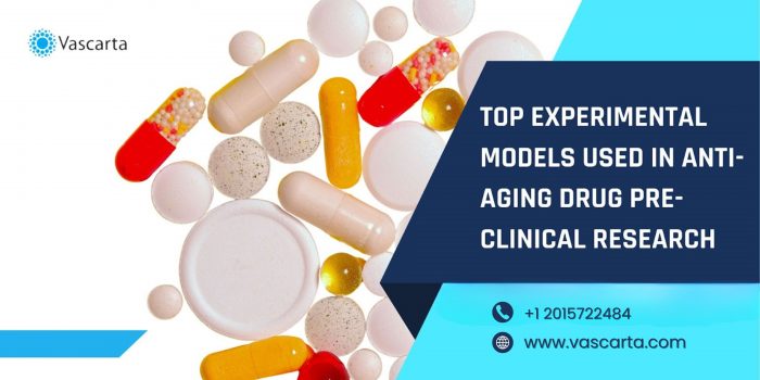 Preclinical Research Driving the Future of Anti-Aging Therapies