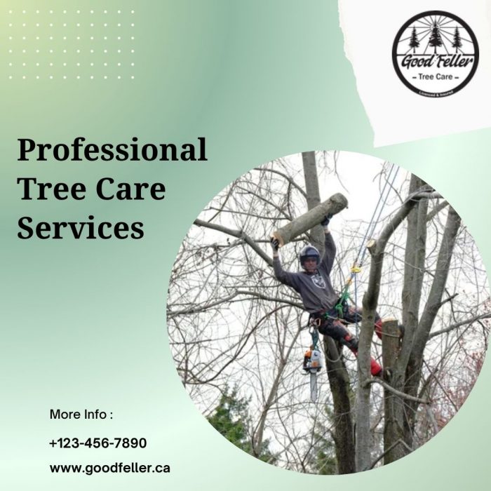 Professional Tree Care Services