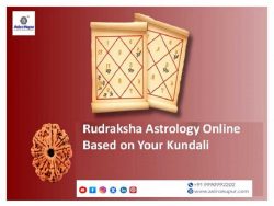 Rudraksha Astrology Online Based on Your Kundali