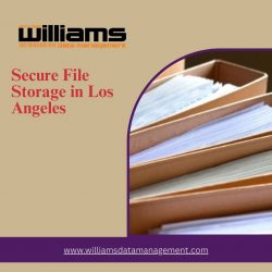 Secure File Storage in Los Angeles