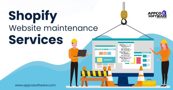 Affordable Shopify Website Maintenance Services for Your Store
