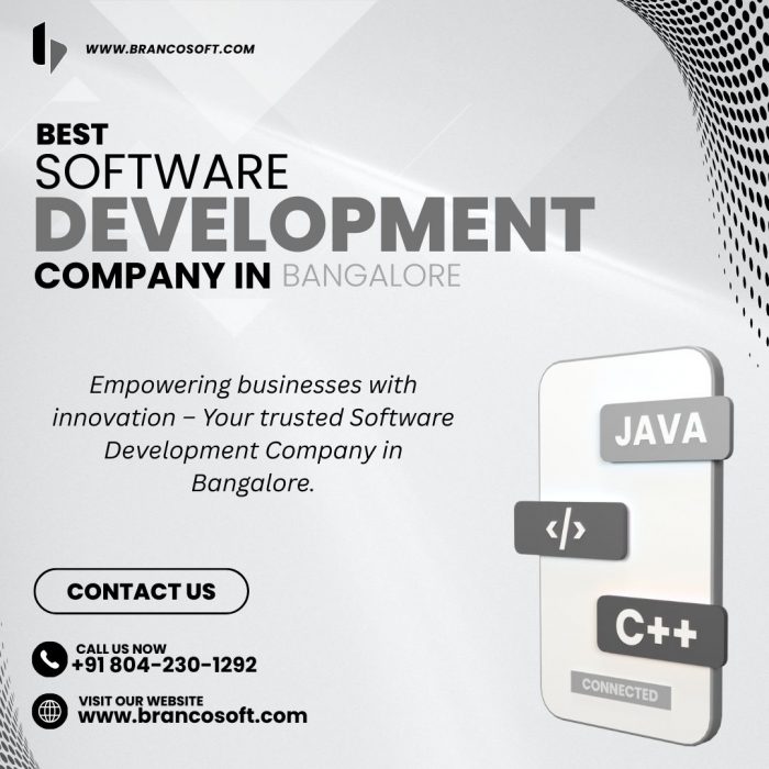 Hire the Best Software Development Company in Bangalore – Brancosoft