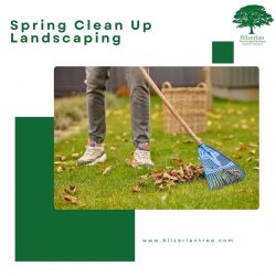 Spring Clean Up Landscaping