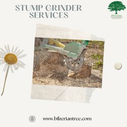 Stump Grinder Services