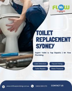Toilet Replacement Sydney | Expert Toilet & Tap Repairs | Mr Flow Plumbing