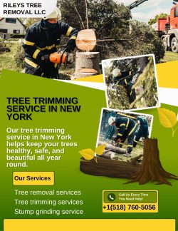 Top-Rated Tree Trimming Service Near You in New York
