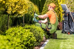 Proyards Landscape & Maintenance Provides Professional Lawn Care In Utah And Salt Lake City