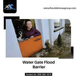 Water Gate Flood