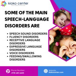 Some of the Main Speech-Language Disorders Are!