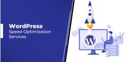 Choose the Best WordPress Speed Optimization Service