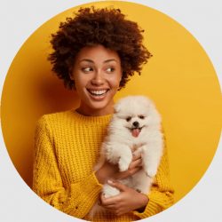 France to London Pet Taxi – Reliable Cross-Border Pet Travel