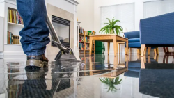 The Importance of Professional Basement Water Restoration