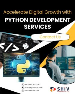 Personalized Python Web App Development Services by Shiv Technolabs