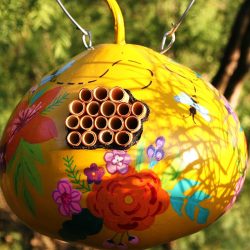 Carpenter Bee House